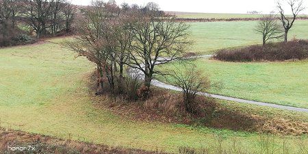 IMG_20171220_122826.jpg