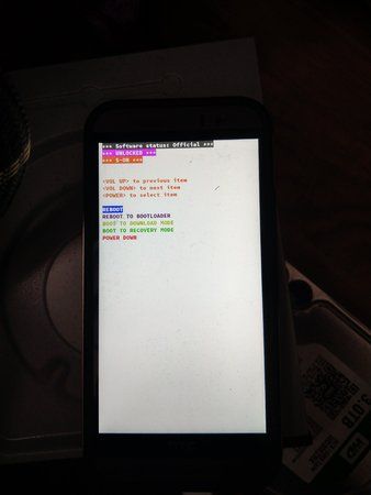 IMAG0172.jpg