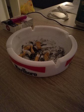 Profi.jpg