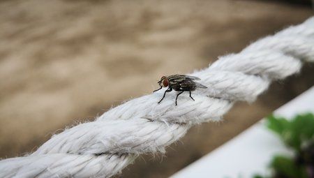 IMG_20171221_172051.jpg