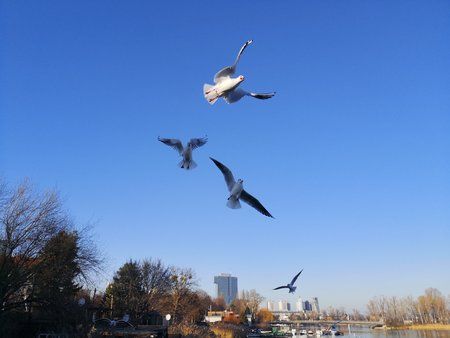 A0846E2B-8D87-42DF-BF68-13EA3704E971.jpeg