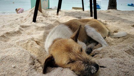 IMG_20171228_141141.jpg
