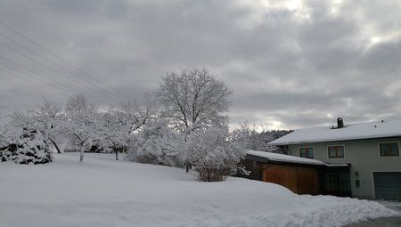 CameraZOOM-20171229112258360_orig_1.jpg