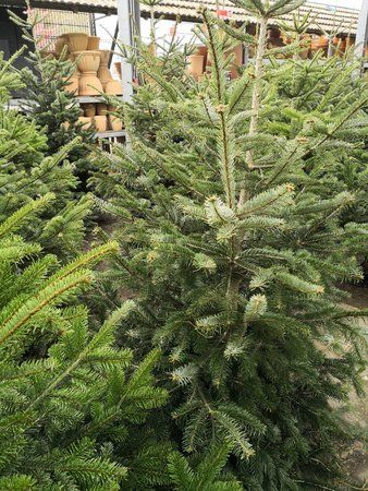 IMG_20171219_120705.jpg
