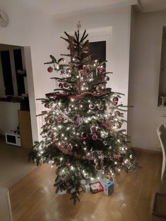 MVIMG_20171229_232013-01.jpeg