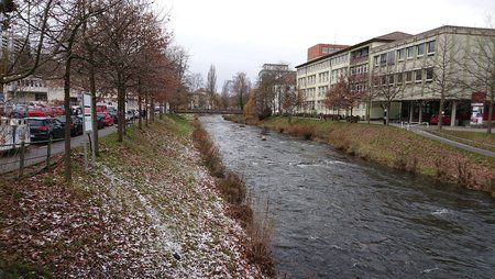 DSC_0130.JPG