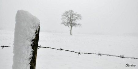 20171210_133743_HDR.jpg