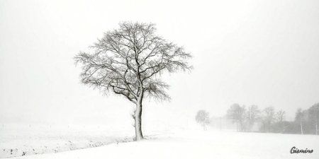 20171210_133246_HDR.jpg