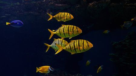 20180105_134958(0).jpg