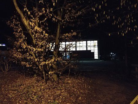 20180108_184711.jpg