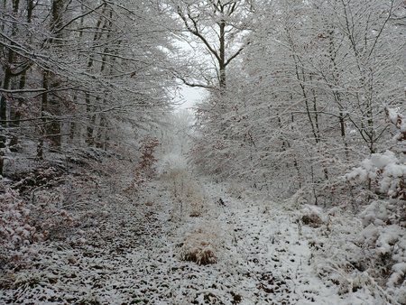 20171201_092959.jpg