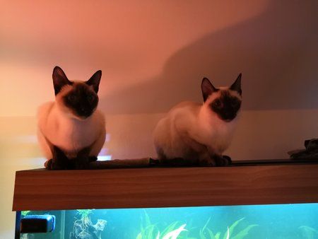 IMG_20180114_204914.jpg