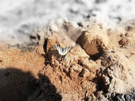 IMG_20170807_113253.jpg