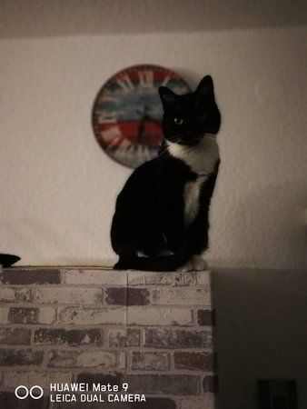 IMG_20180117_061918.jpg