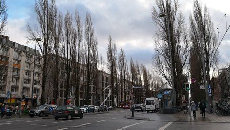 IMG_20180117_142036.jpg