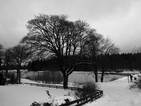 IMG_20180118_165913.jpg