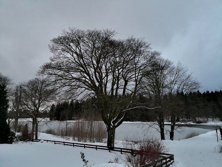 IMG_20180118_165903.jpg