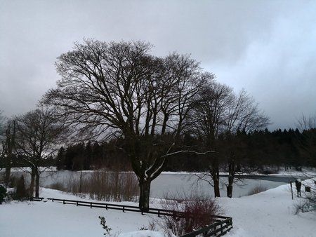 IMG_20180118_165907.jpg