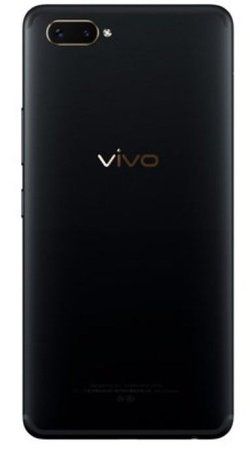 vivo2.jpg
