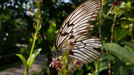 IMG_20171215_152527.jpg