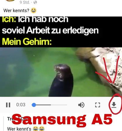 PicsArt_01-21-11.45.05~01.jpg