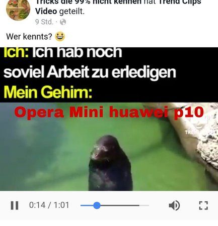 PicsArt_01-21-11.38.54.jpg