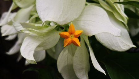 IMG_20171211_144157.jpg