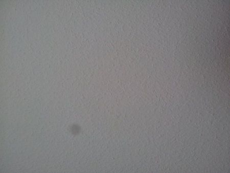 20120203_125241.jpg