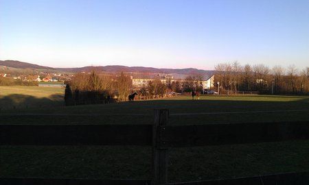 IMAG0011.jpg