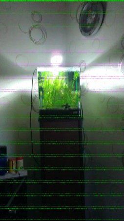 IMAG0015.jpg