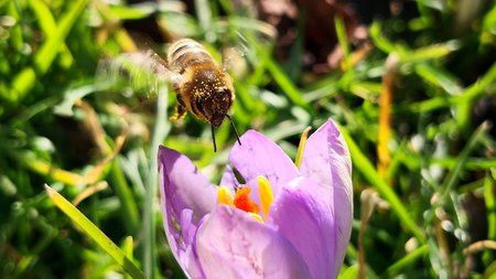 IMG_20180125_113208.jpg