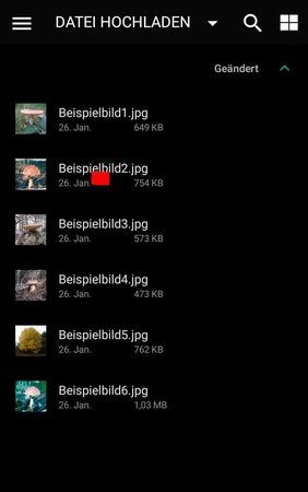 4_Dateiauswahl.jpg 4_Dateiauswahl.jpg