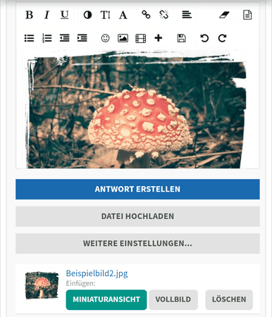 6_Miniaturansicht im Beitrag.png 6_Miniaturansicht im Beitrag.png