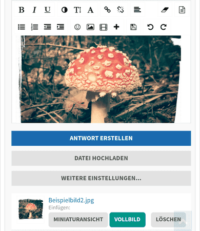 7_Vollbild in Originalgröße dargestellt.png 7_Vollbild in Originalgröße dargestellt.png