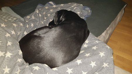 20180127_072918.jpg