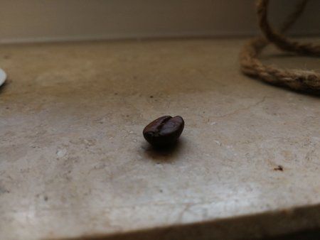 IMG_20180127_163501.jpg