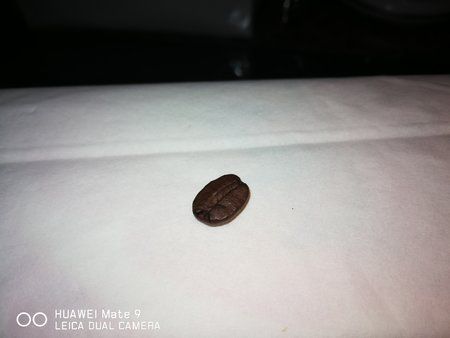 IMG_20180127_182127.jpg