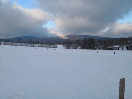 IMG_20180204_155549.jpg