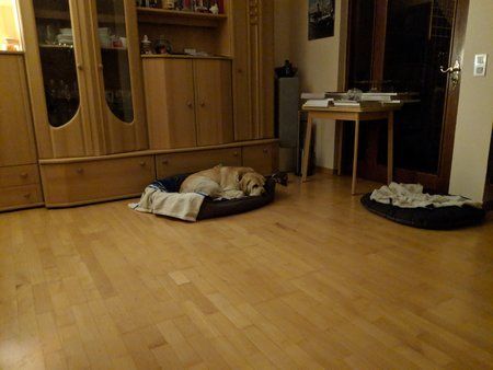 IMG_20180208_194920.jpg