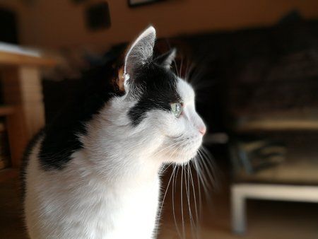 IMG_20180214_135021.jpg