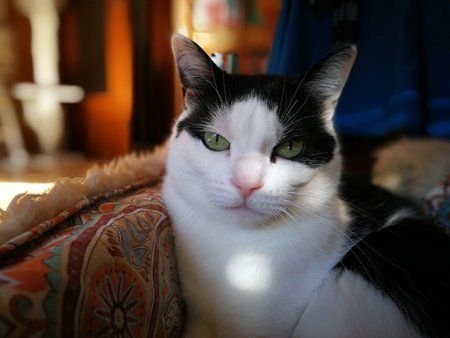 IMG_20180214_141333.jpg