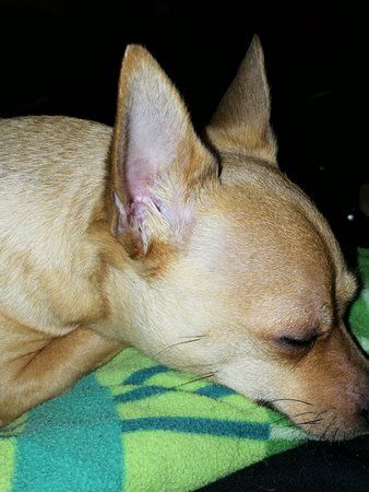 IMG_20180215_171124.jpg