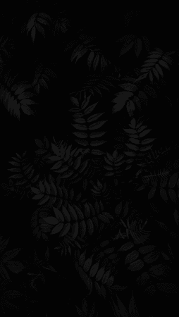 Screenshot_2018-02-15-21-28-03-699_com.teslacoilsw.launcher.png