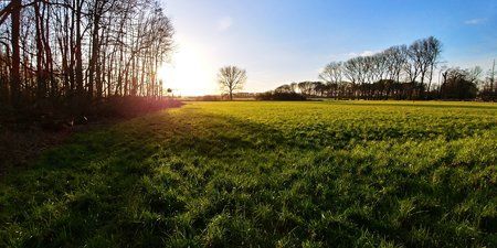 20180216_170308_HDR.jpg