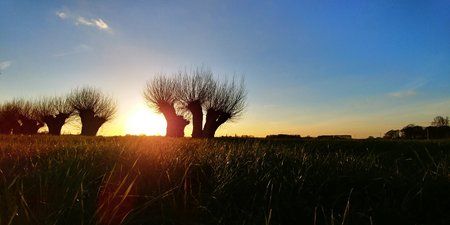 20180216_171713_HDR.jpg