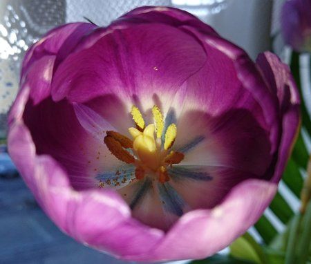 DSC_0023-01.jpeg