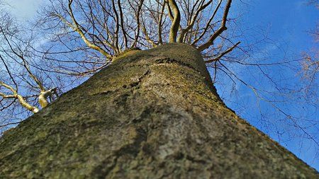 20180224_153556_HDR.jpg
