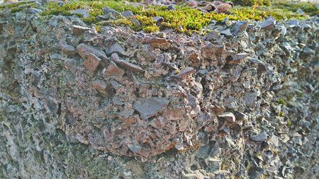20180224_153916_HDR.jpg
