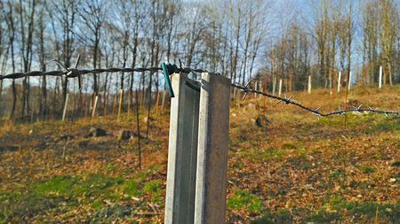20180224_155312_HDR.jpg