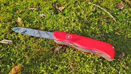 20180224_160339_HDR.jpg